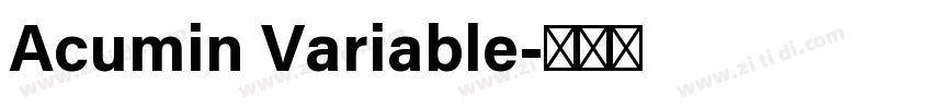 Acumin Variable字体转换